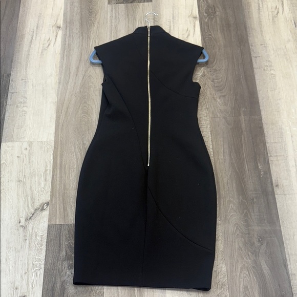 ❄️Ted Baker London Black Dress - Picture 5 of 5